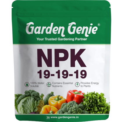 Garden Genie Npk 19 19 19 Fertilizer For Plants 800g I 100% Water Soluble I Complete Plant Food For Gardening, Growth Boost and Flowering, Powder Garden Genie Npk 19 19 19 Fertilizer For Plants 800g I 100% Water Soluble I Complete Plant Food For Gardening, Growth Boost and Flowering, Powder