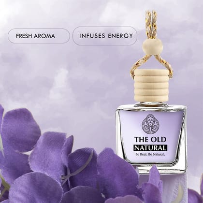 Mystery Car Freshener With Essential Oils