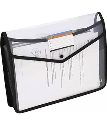 Eclet Multicolor File Folder ( Pack of 1 )