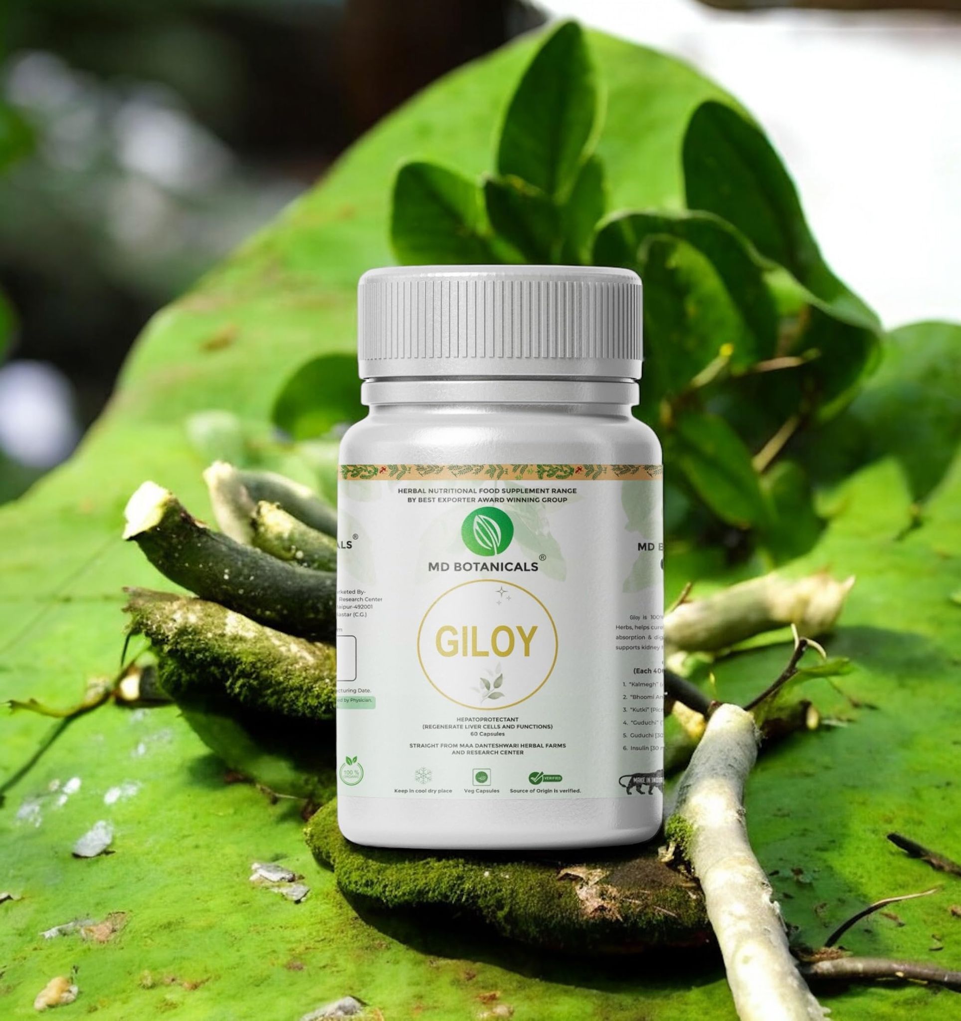 MD Botanicals Giloy 60 Capsules (Pack of 1) | Herbal Giloy Ghanvati | for Blood Purification | Detoxifies The Body | Enhances Strength & Stamina | Natural Immunity Booster