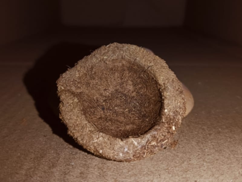 Gober Dhoop diye 15pcs