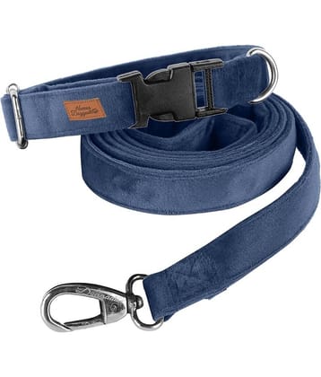 NUEVOS DOGGADIL - Black Collar ( X-Small )