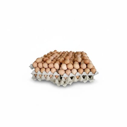 Fresh Table Eggs - 20 gm - One egg