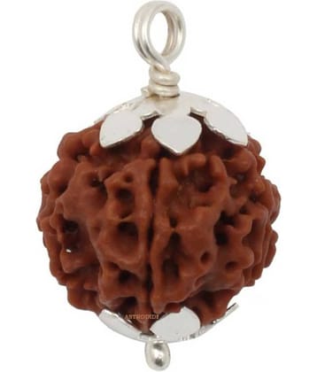 Astrodidi 5 Mukhi Rudraksha Pendant With Lab Certificate
