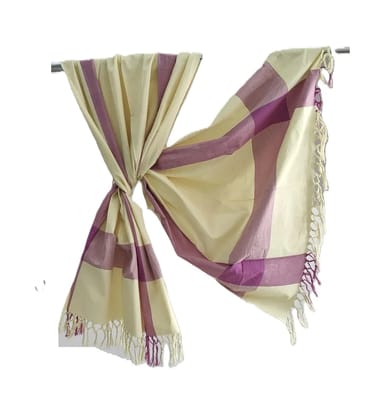 Dhaga Vishwas Ka Premium Handloom Stoles Dhaga Vishwas Ka Premium Handloom Stoles