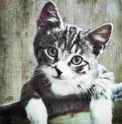 Decoupage Napkin / Tissue papers - 25cm*25cm - GT3167