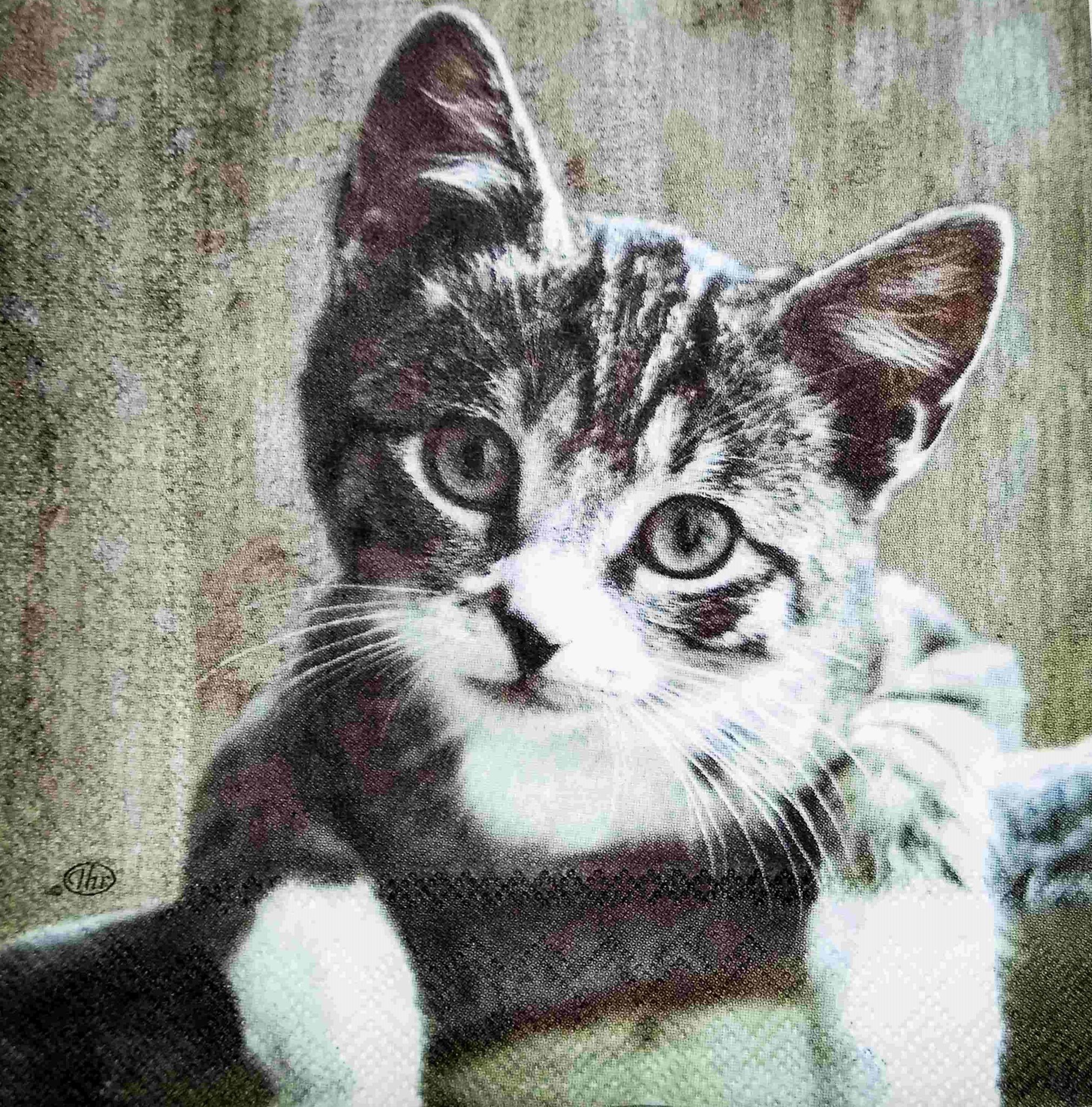 Decoupage Napkin / Tissue papers - 25cm*25cm - GT3167