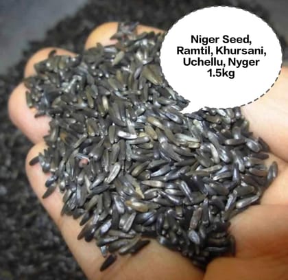 Niger Seed, Ramtil, Khursani, Uchellu, Nyger 1.5kg Niger Seed, Ramtil, Khursani, Uchellu, Nyger 1.5kg