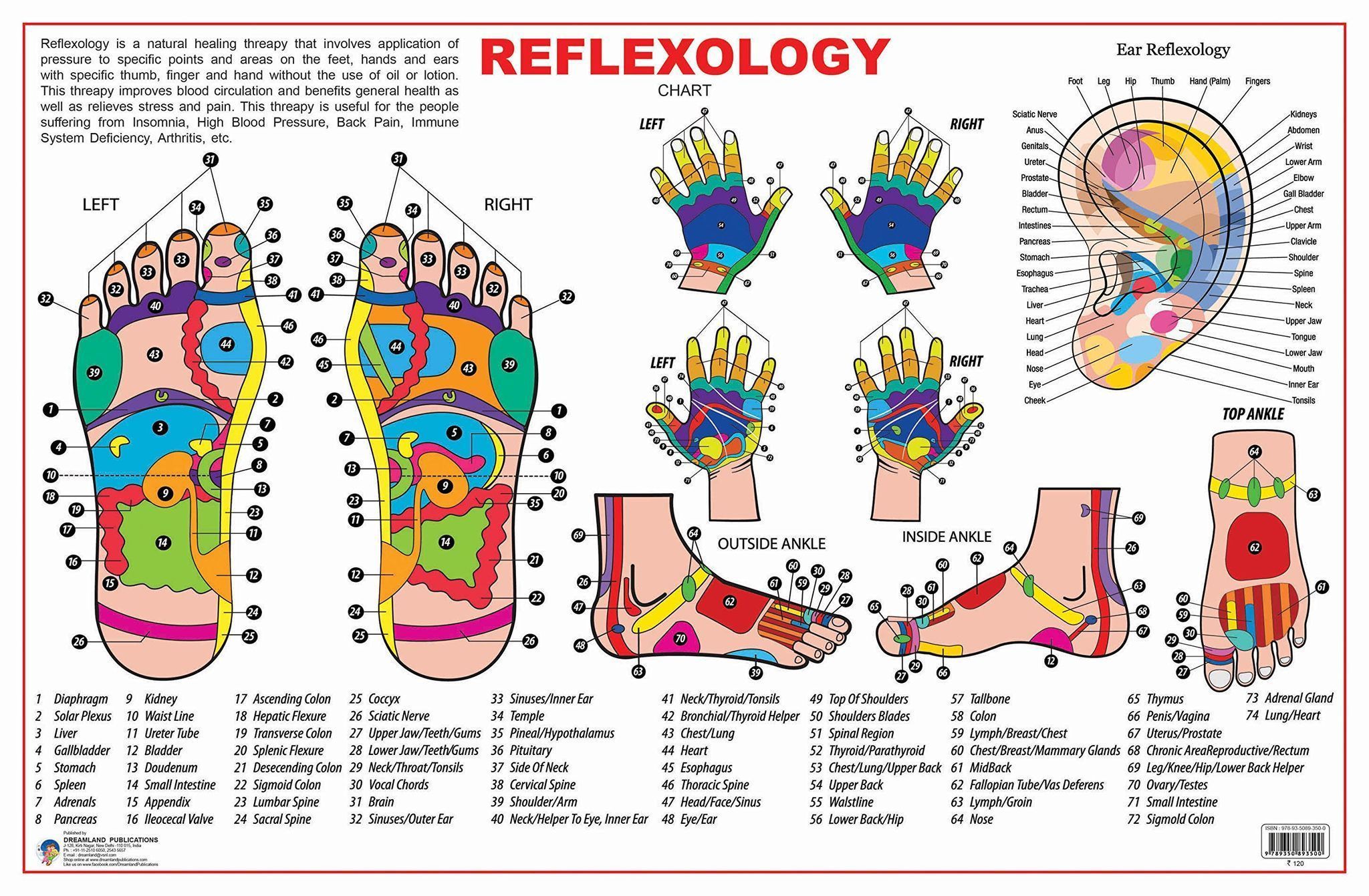 Reflexology [Poster] Dreamland Publications