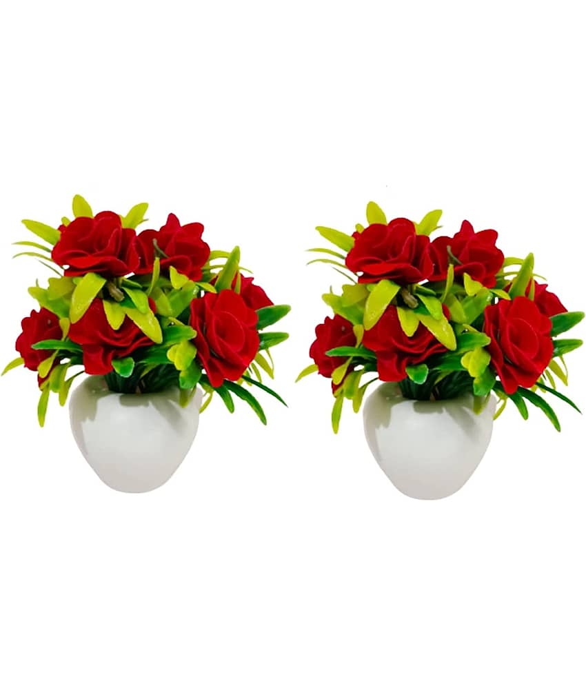 Green plant indoor Rose Multicolour Flowers With Pot - Pack of 1