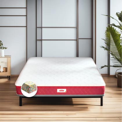 COIRFIT BONE ZONE with REBOTECH Tech. 5 inch Single Bonded Foam Mattress (L x W: 75 inch x 60 inch) COIRFIT BONE ZONE with REBOTECH Tech. 5 inch Single Bonded Foam Mattress (L x W: 75 inch x 60 inch)