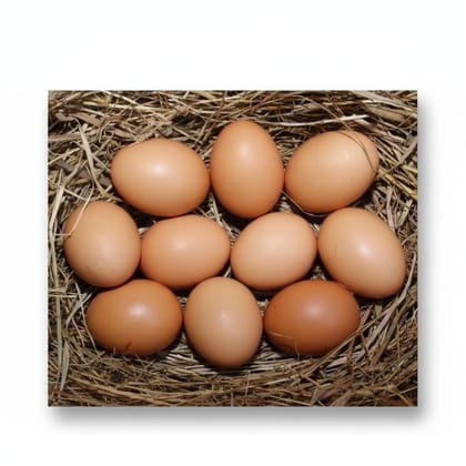 Fresh Brown Eggs - 100 gm - Single egg