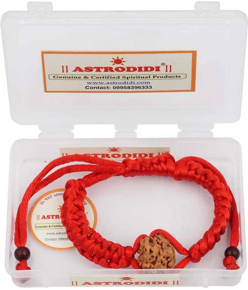 Astrodidi 5 Mukhi Five Face Rudraksha Bracelet