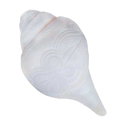 MAYAPURI Natural Loud Blowing Shankh for Pooja/Bajane Wala Shankha (White, Size: 7 inches) MAYAPURI Natural Loud Blowing Shankh for Pooja/Bajane Wala Shankha (White, Size: 7 inches)