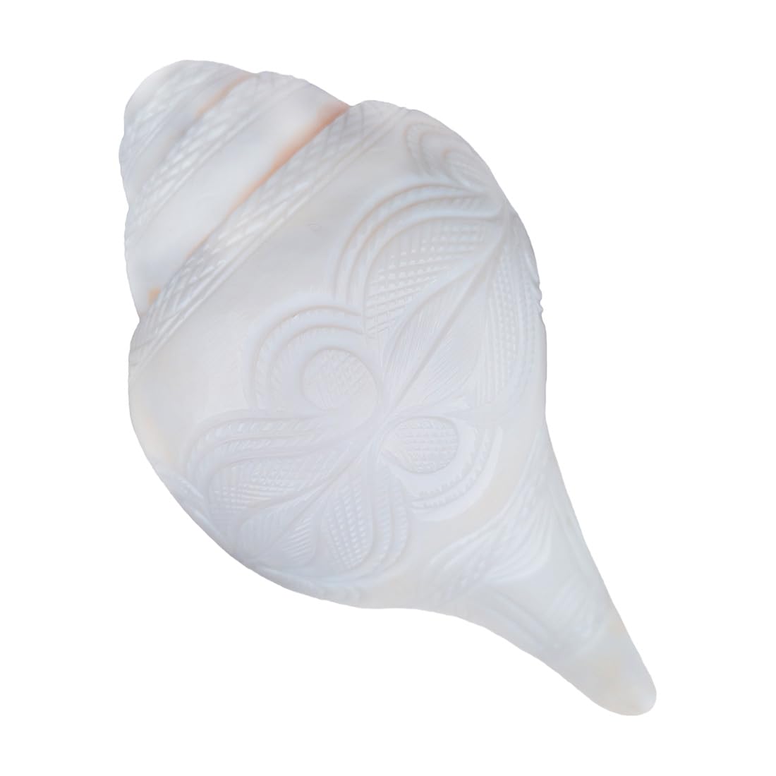 MAYAPURI Natural Loud Blowing Shankh for Pooja/Bajane Wala Shankha (White, Size: 7 inches)