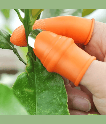 purple dust Orange Stainless Steel Utility Knife Blade Length 1 cm ( Pack of 1 )