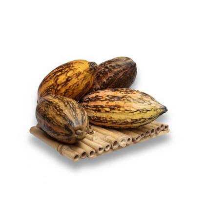 Fresh Raw Cocoa Pods - 1 kg - Package containing raw cocoa pods