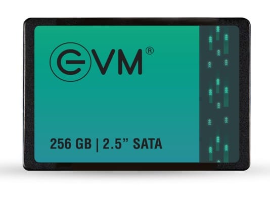 EVM 256GB 2.5-Inch SATA III Internal SSD 550MB/s Read & 500MB/s Write, 3D NAND, 5-Year Warranty, Laptop & Desktop Solid State Drive (EVM25/256GB)