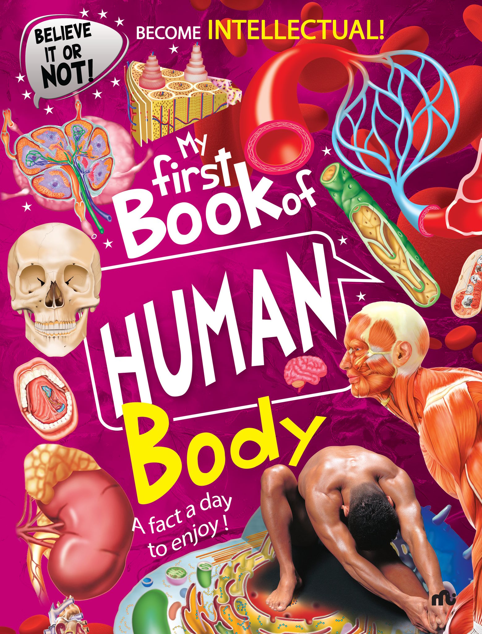 My First Book of Human Body