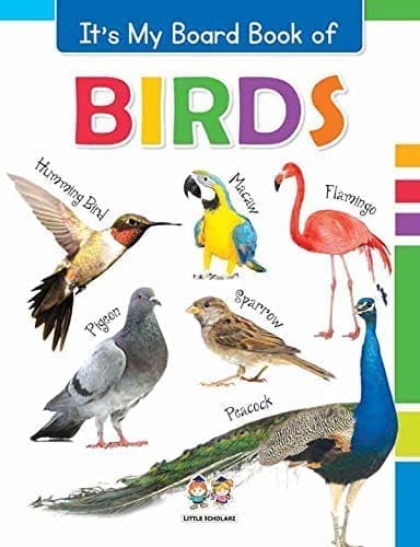 It's My Big Board Book of BIRDS [Board book] [Aug 09, 2022] LS Editorial Team