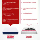 ... ...