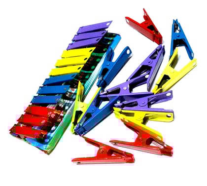 Nawani Iron Steel Cloth Clips for All Types of Cloths, 36 pic Clips