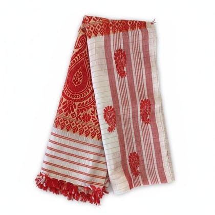 Traditional Red and White Paisley Pattern Saree