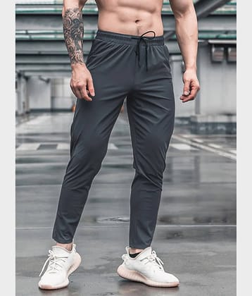 Forbro Grey Polyester Men's Trackpants ( Pack of 1 )