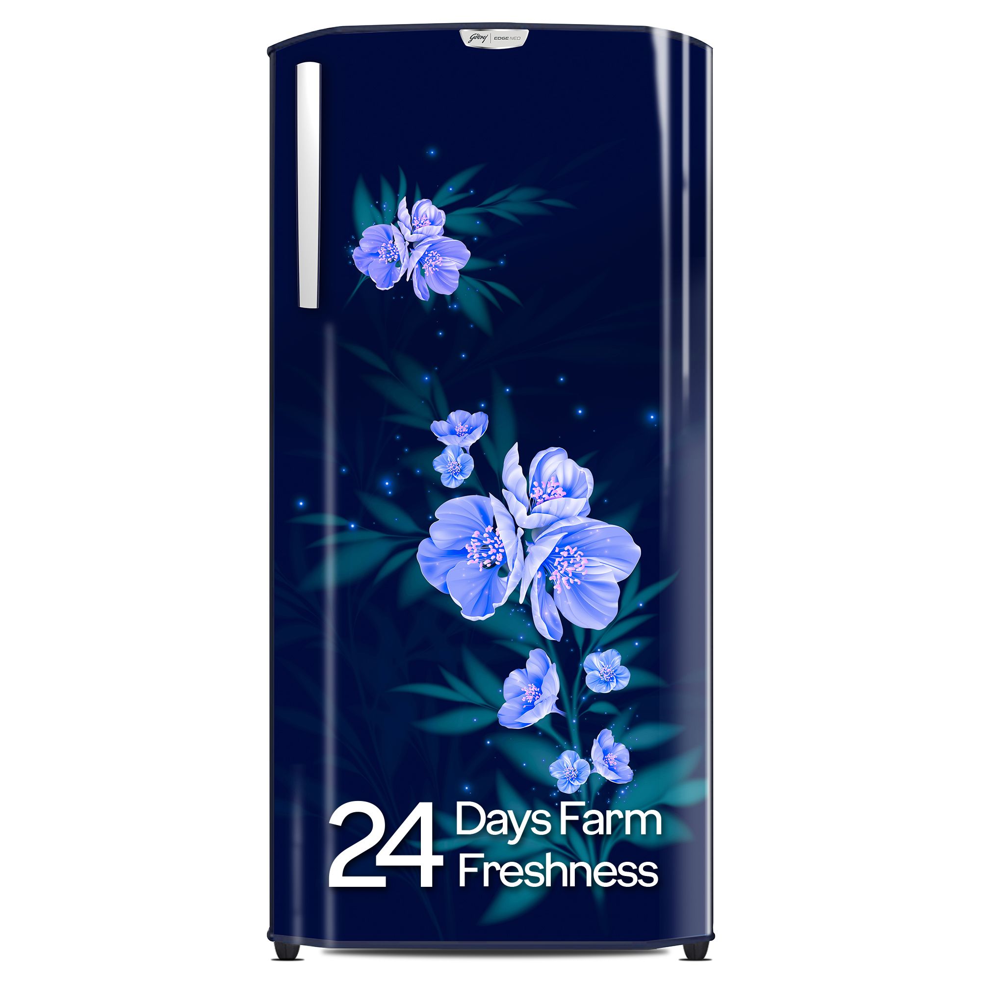 Godrej 180 L 4 Star Turbo Cooling Technology, 24 Days Farm Freshness Direct Cool Single Door Refrigerator (RD EDGENEO 207D THF MP BL, Maple Blue)