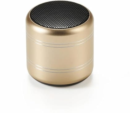 Dynamic Metal Sound with High Bass Bluetooth Speaker Rechargeable Bluetooth Indoor and Outdoor Speaker for Support TF Card & Mic Compatible with All Smartphones
