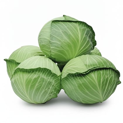 Fresh Green Cabbage - 1 kg - One head of cabbage