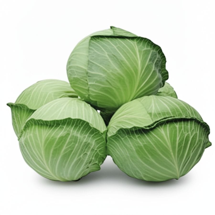 Fresh Green Cabbage - 1 kg - One head of cabbage