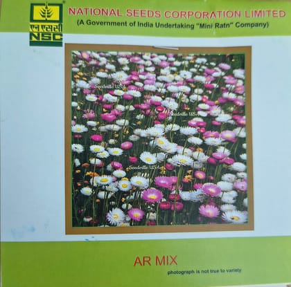 NSC Acroclinium Roseum Mix Flower Seed,3gm NSC Acroclinium Roseum Mix Flower Seed,3gm