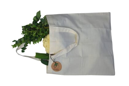 Vegetable Bag