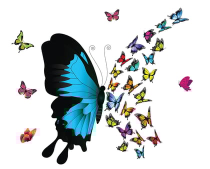 DreamKraft Dynamite Colorful Butterflies PVC Vinly Wall Stickers (Multicolor, 56 cm X 82 cm) DreamKraft Dynamite Colorful Butterflies PVC Vinly Wall Stickers (Multicolor, 56 cm X 82 cm)