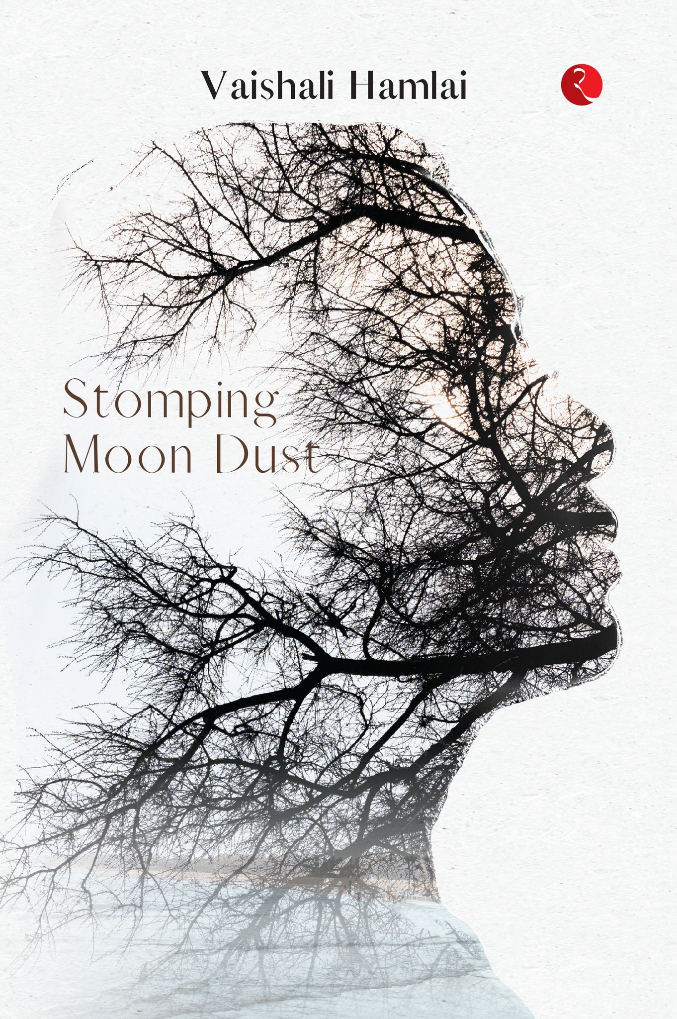 Stomping Moon Dust