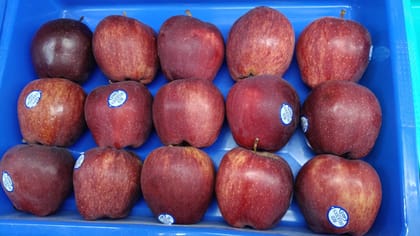 Italy Imported Apples 1 KG