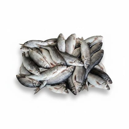 Fresh Whole Fish - 1 kg - 1kg pack of whole fish