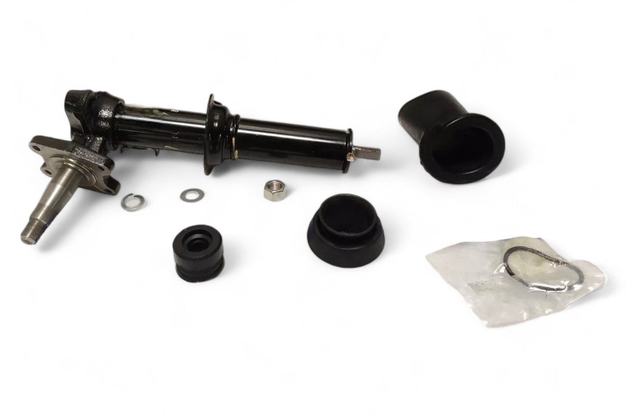 Gabriel Front Suspension Strut - RH AM-4210021