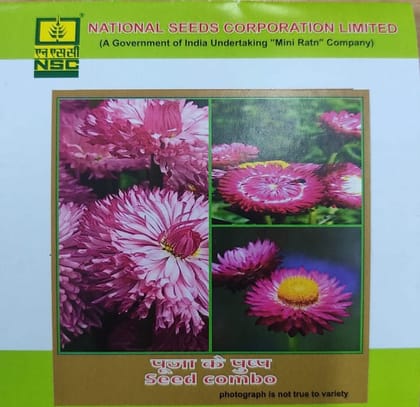 NSC Pooja flower seed  red Combo.