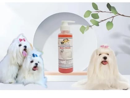 SWACCH Premium Shampoo for Maltese (200ML) Strawberry