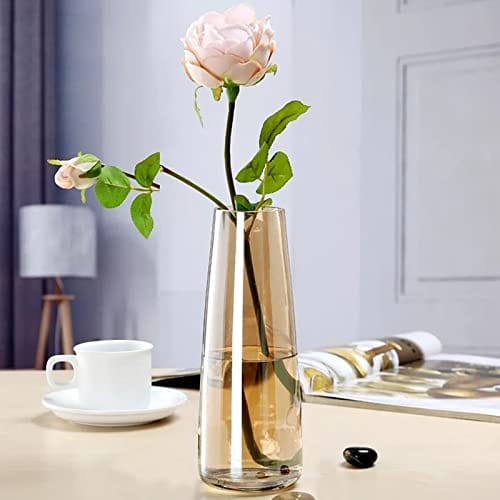 Vase For Home Decor Round Shape Center Table Bedroom Living Room And Office Decoration (Pack Of 1, Amber) Luster