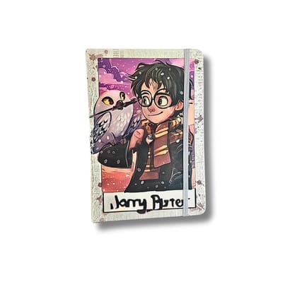 Harry Potter With Owl Diary MRP 249