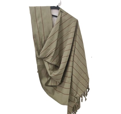 Dhaga Vishwas Ka Green Striped Handloom Cotton Stole