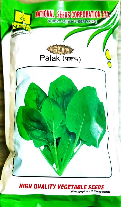 NSC Palak All Green variety, 250 gram T/L seed