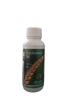 SACKWEED38