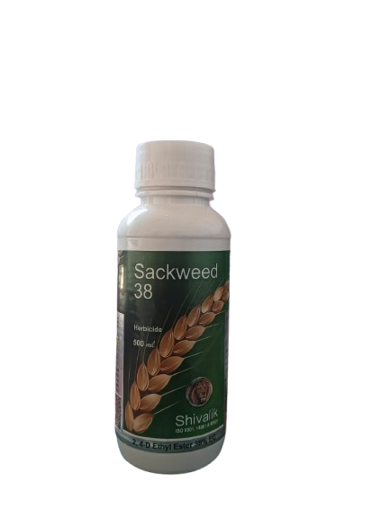 SACKWEED38