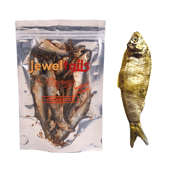 Dehyderated Anchovies